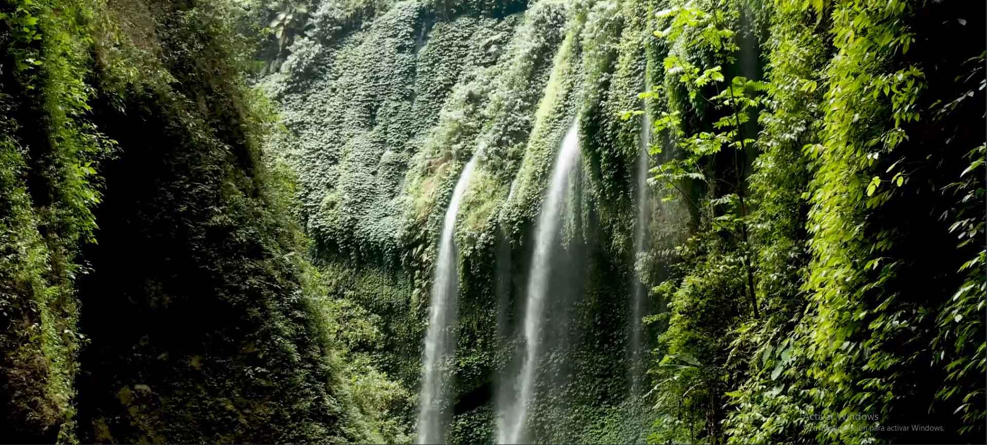 Fondo de cascada